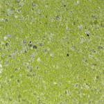 WOW! Embossing Powder Lime Crush