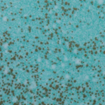 WOW! Embossing Powder Blue Aventurine