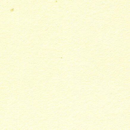 Karton A4 elefenbenshvid 100ark