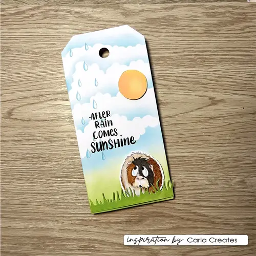 Forudbestilling: Carla Creates - Clear Stamps Guinea Pigs 4