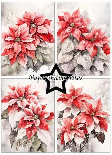 Paper Favourites A6 Paper Pack - Poinsettia