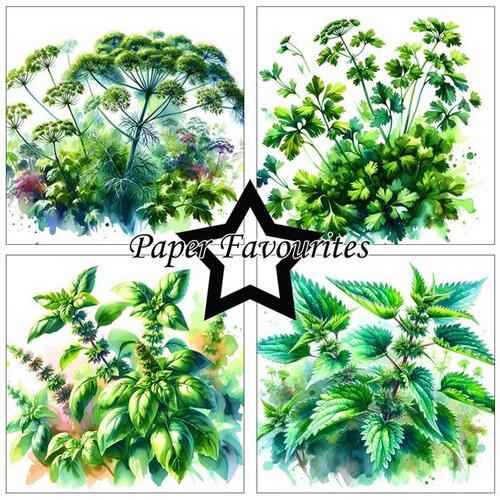 Paper Favourites 15x15 PF537 Herbs
