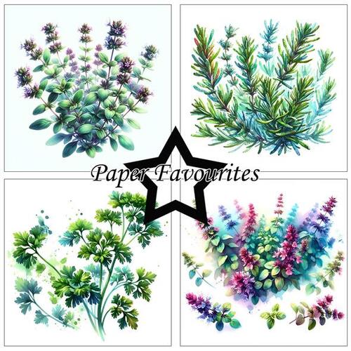 Paper Favourites 15x15 PF537 Herbs