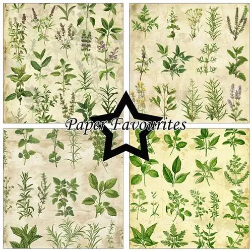 Paper Favourites 30,5x30,5 PF737 Kitchen Herbs