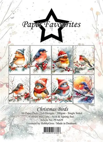 Paper Favourites A6 Paper Pack - Christmas Birds