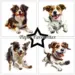 Paper Favourites 15x15 PF526 Farmdogs