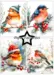 Paper Favourites A6 Paper Pack - Christmas Birds