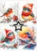 Paper Favourites A6 Paper Pack - Christmas Birds